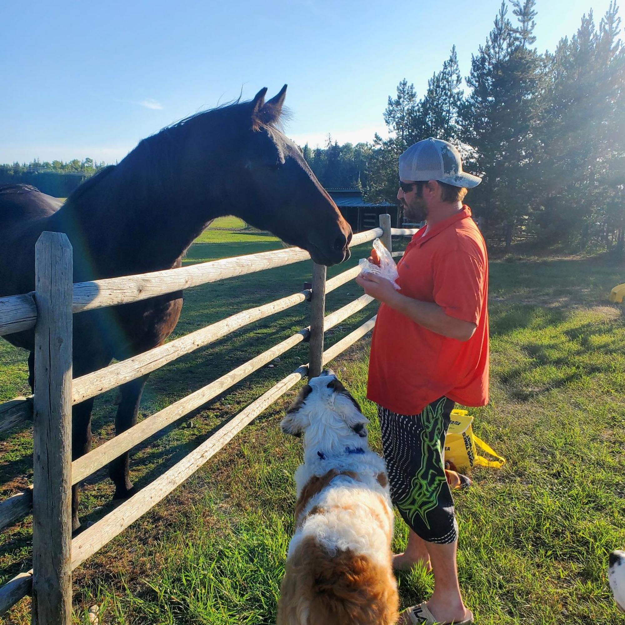 Woodhouse Cottages And Ranch Prince George Exteriör bild