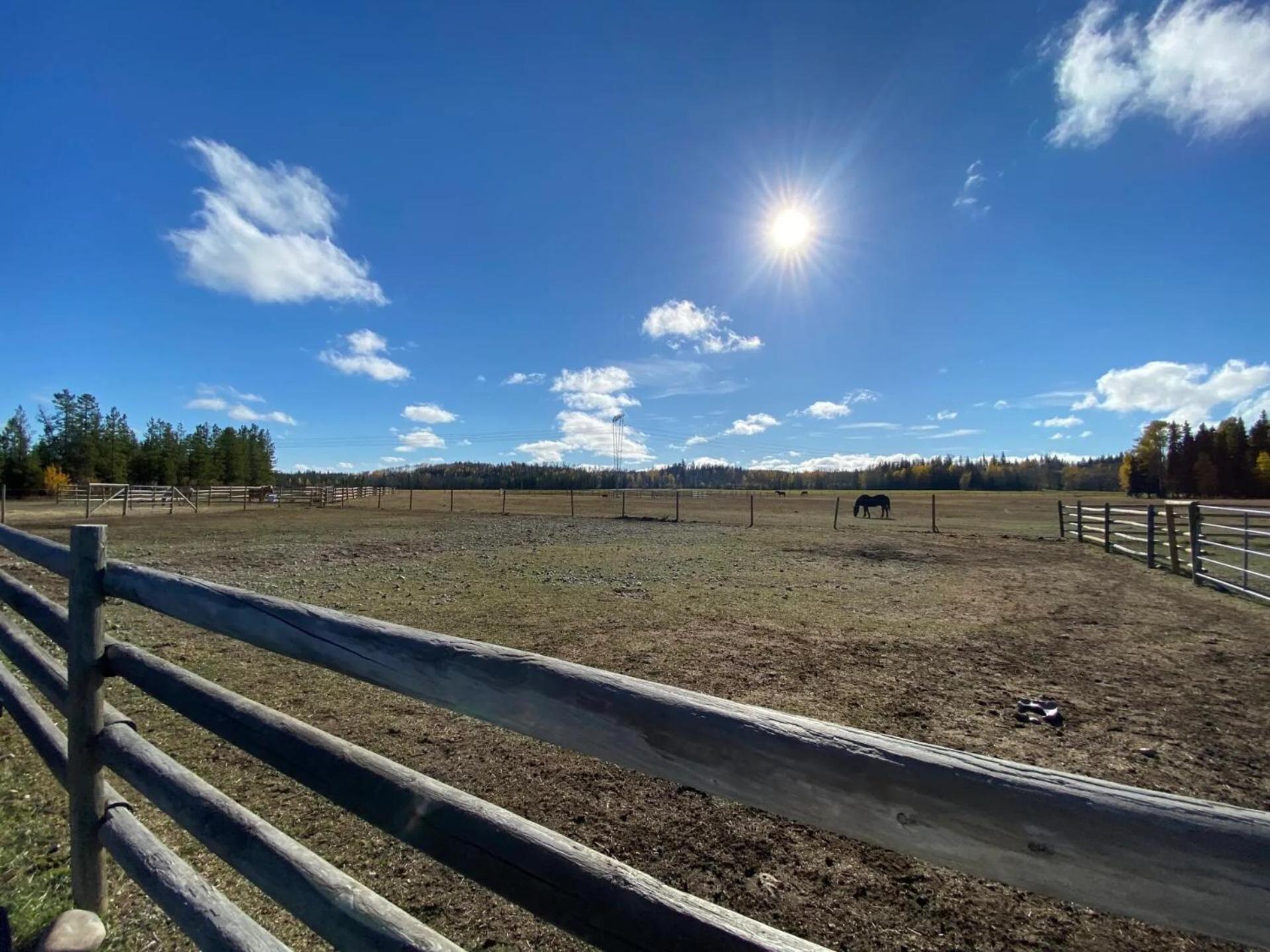 Woodhouse Cottages And Ranch Prince George Exteriör bild